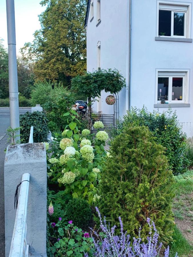 Sascha'S Home Saarlouis Exteriör bild